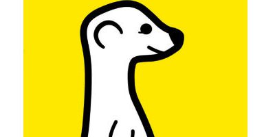 Meerkat, la sensation de l’heure sur les médias sociaux