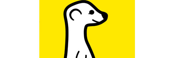 Meerkat, la sensation de l’heure sur les médias sociaux