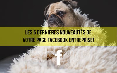 Les 5 dernières nouveautés de votre page Facebook entreprise!