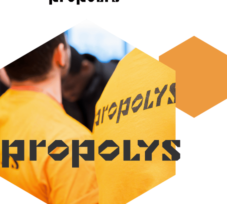 Un mini-site pour Propolys